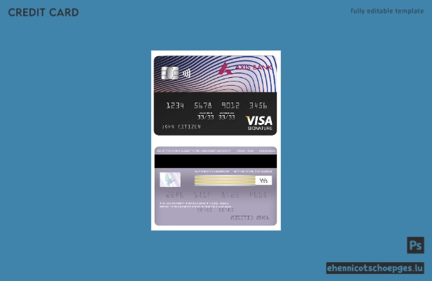 Beispielvorschau der Visa-Signaturkarte der Axis Bank für Indien